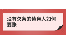 海北为什么选择专业追讨公司来处理您的债务纠纷？